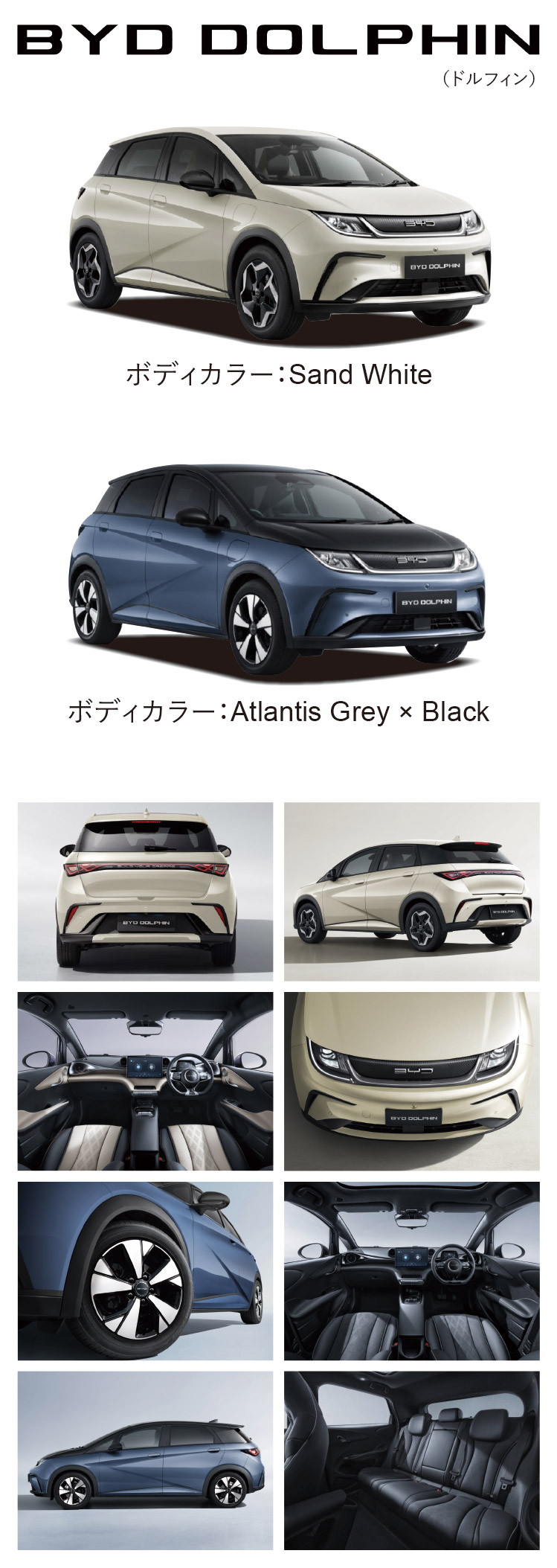 BYD,DOLPHIN,ドルフィン,コンパクト,EV