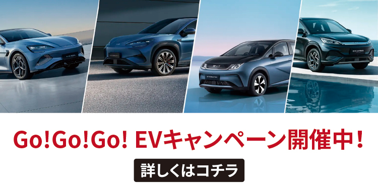 Go!Go!Go! EVキャンペーン,117万円,補助
