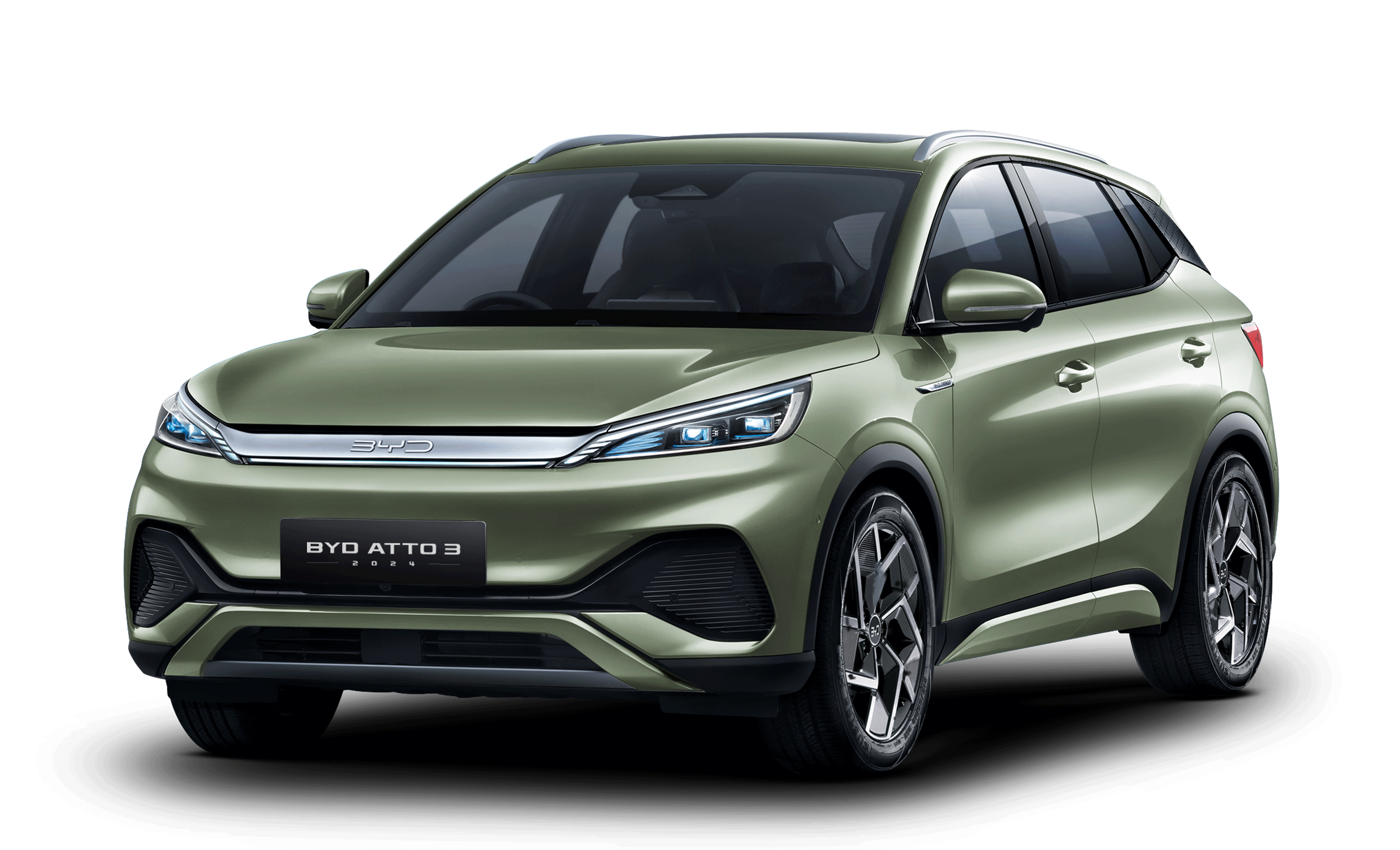 forestgreen