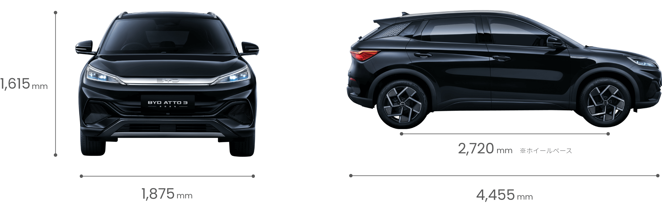 BYD eパスポートの内容